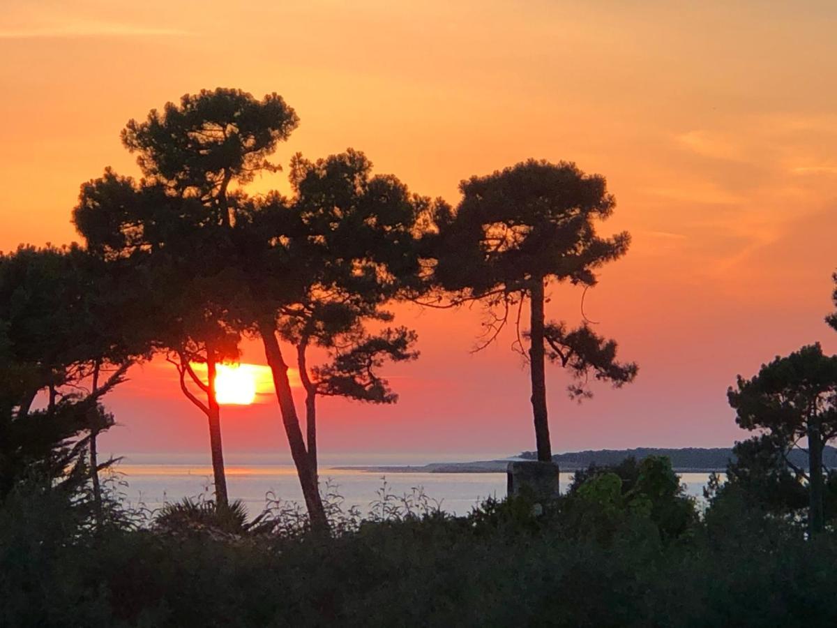 Chambre D'Hotes Pyla Sur Mer La Teste-de-Buch Exterior foto